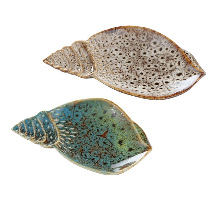 Decorative Seashell Dish