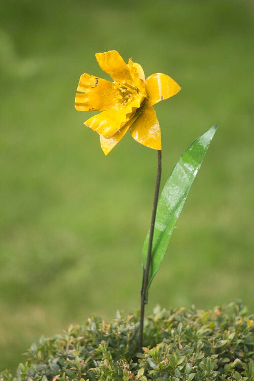 Hand crafted recycled metal daffodil.