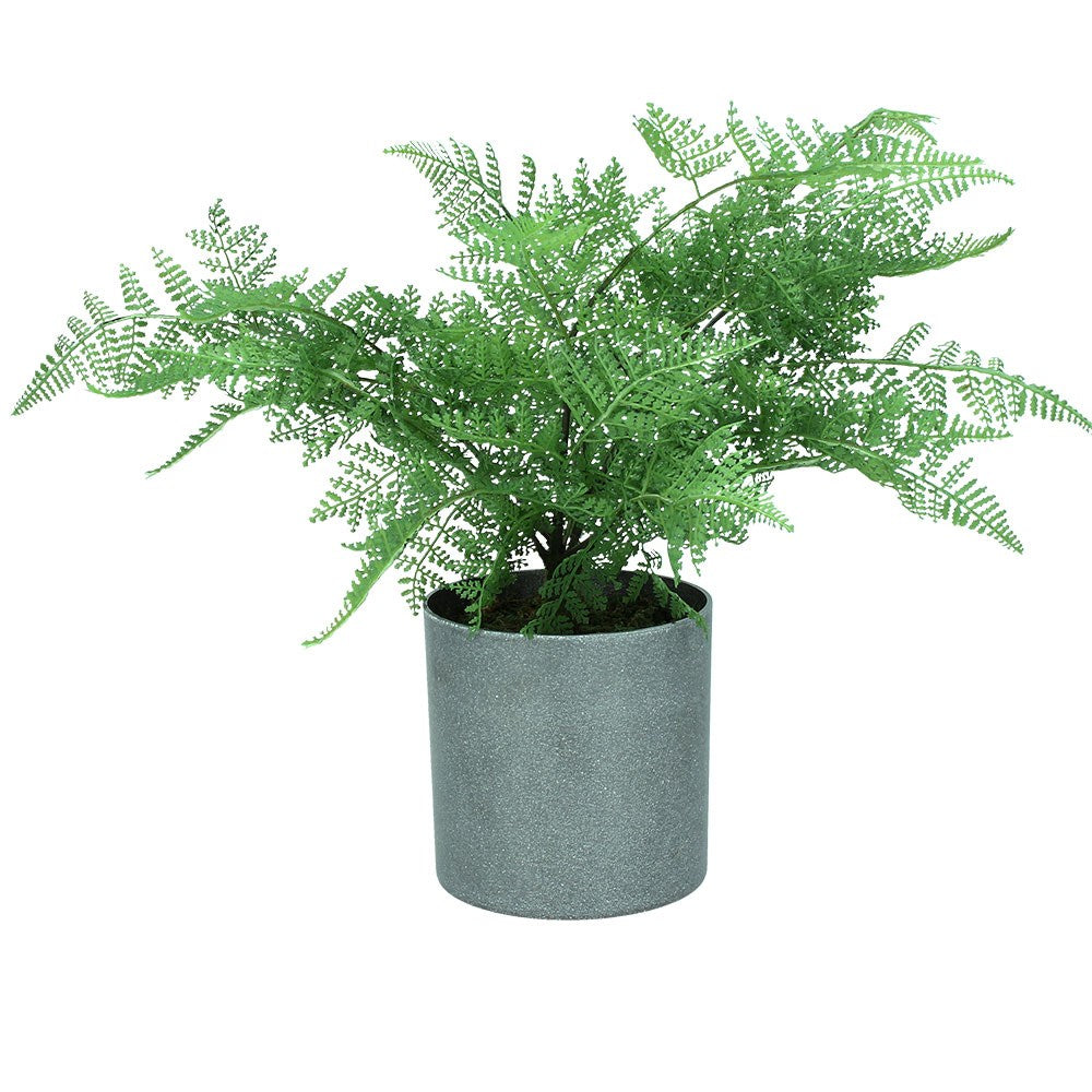 Faux fern plant with grey pot. 