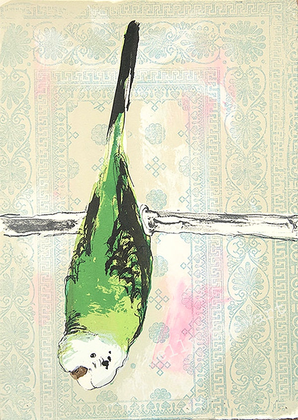 Green budgie screen print for sale on behalf of Kelly Stewart