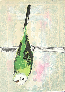 Green budgie screen print for sale on behalf of Kelly Stewart