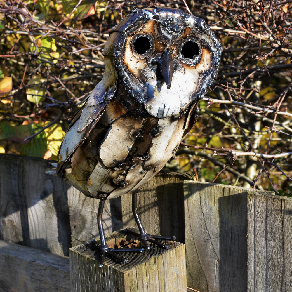 Barnowlwebsite- Barnowlwebsite-