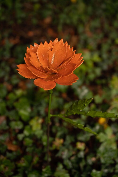 Recycled metal Chrysanthemun flower in orange.