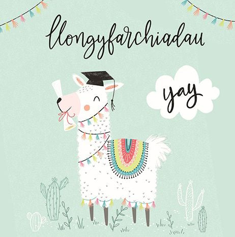 Congratulations card with a llama holding a scroll, wearing a hat and the message "Llongyfarchiadau".
